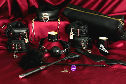Luxury Beginner BDSM Kit